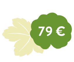 Blatt Fördermitgliedschaft 79 €